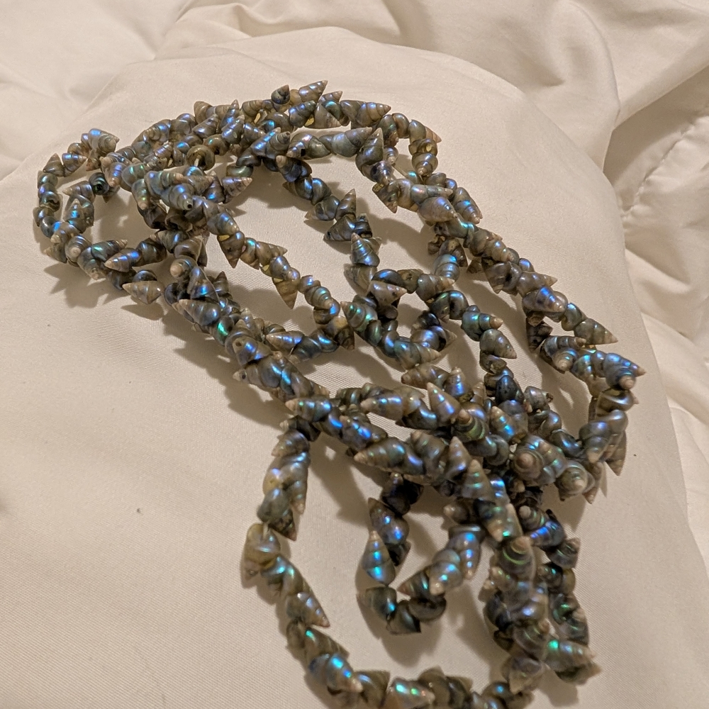 Vintage Tasmanian Maireener Shell Long Necklace